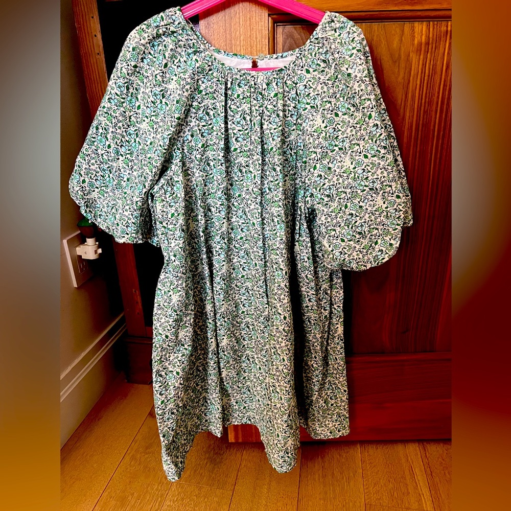 Zara floral dress with puffy bell sleeves